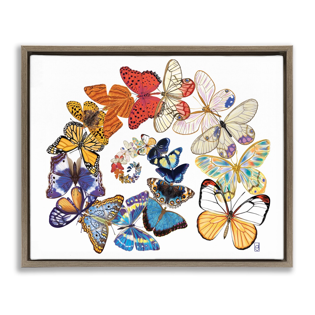 Stupell Industries Fly Away Butterflies Framed Floater Canvas Wall Art Design by Ann Jasperson